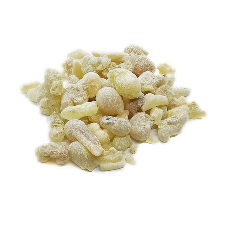 لبان حوجري ذكر