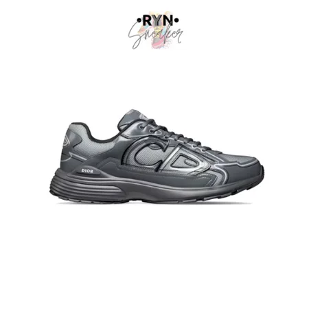 Dior B30 Light Gray Gray