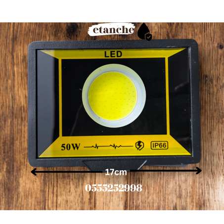 projecteur 220v