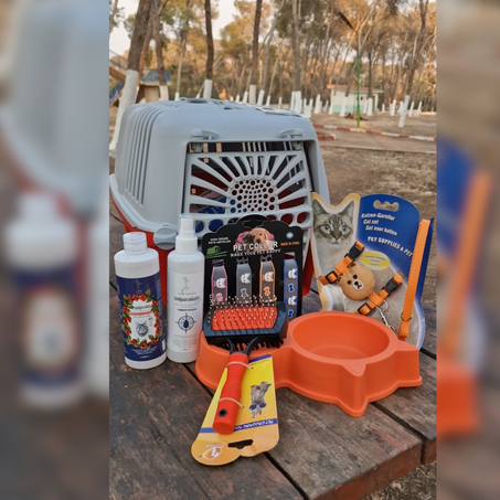 باقة العناية بالقطط 🐈