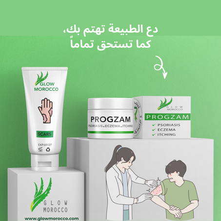 pack progzam 2