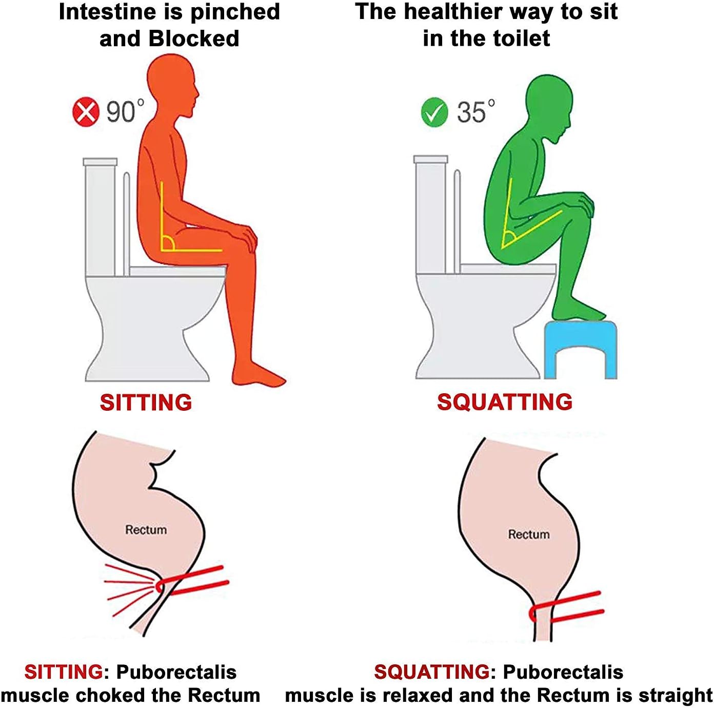 Multi-functional Toilet Chair