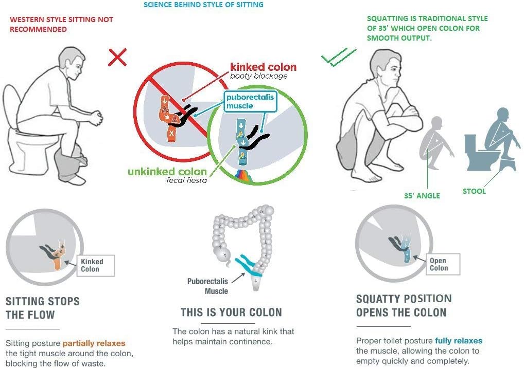 Multi-functional Toilet Chair