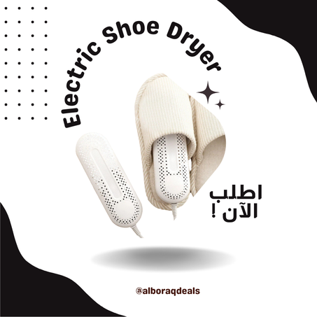 Electric Shoes Dryer