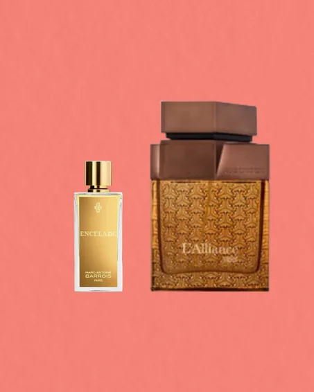 L' ALLIANCE STELLAR EDP 100 ML