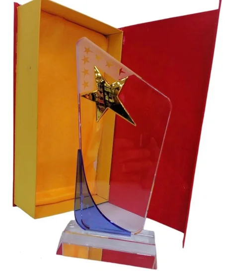 Trophée en verre et bois avec un texte de votre choix REF: TR33