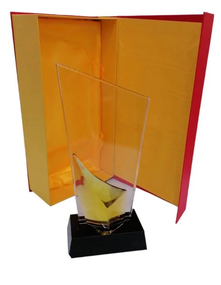 Trophée en verre et bois avec un texte de votre choix REF: TR60