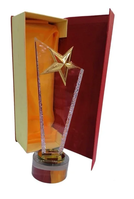 Trophée en verre et bois avec un texte de votre choix REF: TR26