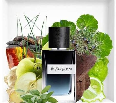 Y Eau De Parfum - Yves Saint Laurent Eau De Parfum 100 ML