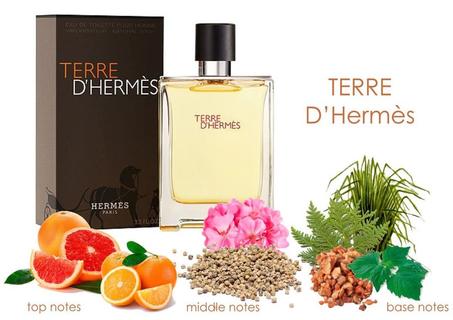 HERMÈS Terre d'Hermès - Eau de Toilette - Décante 10ml