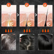stores/42a6fa1ff1c587665d6ff88800e4c080/products/LkhMyncUeRoNx3tmdx3DWIi99j6Ioqa3dhJSSnuR.png
