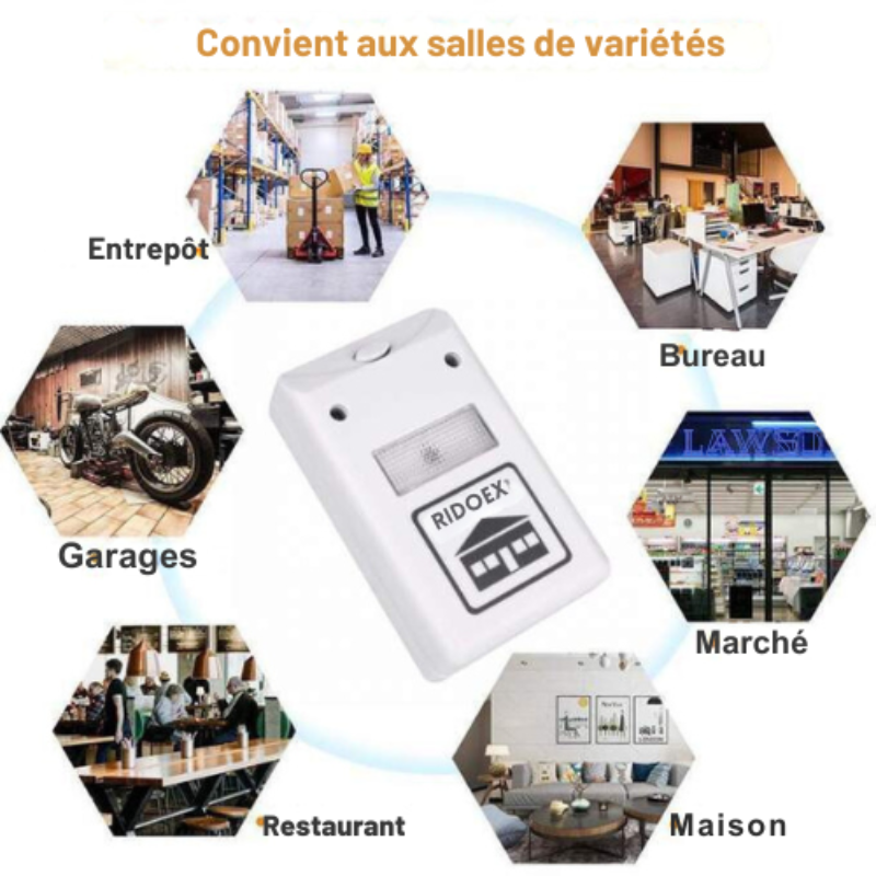 stores/42a6fa1ff1c587665d6ff88800e4c080/products/VTj74GJs20gv35bRb4qP9A4OPt2qVsNZKucmhpqO.png