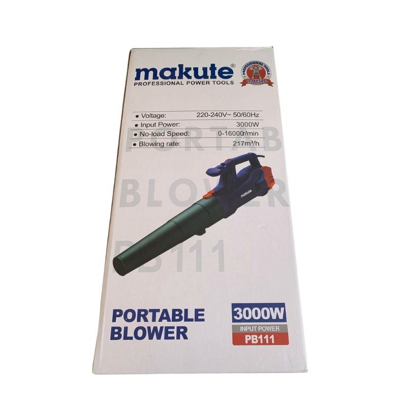 Souffleur Portatif 3000W
