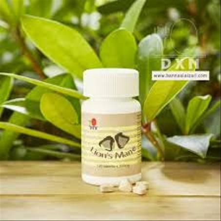 فطر عرف الأسد