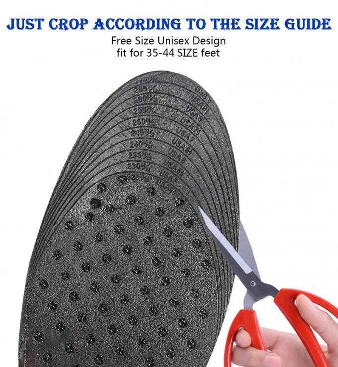 stores/4315a2989bc598bc3bea58a43ace3b88/products/O9VE9n4OQmf5oycL9x0Jx6ghx7cYBwtJ7NPf5c8g.jpeg