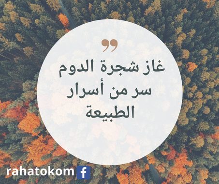 غاز الدوم الطبيعي