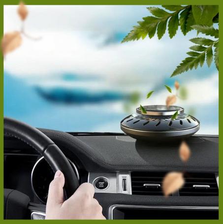 اكسسوارات السيارات