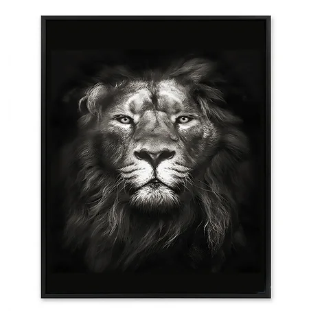 Lion majestueux