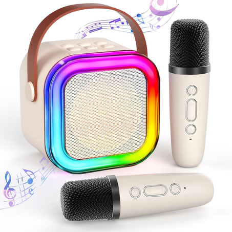 Mini Karaoke haut-parleur Bluetooth avec 2 micros