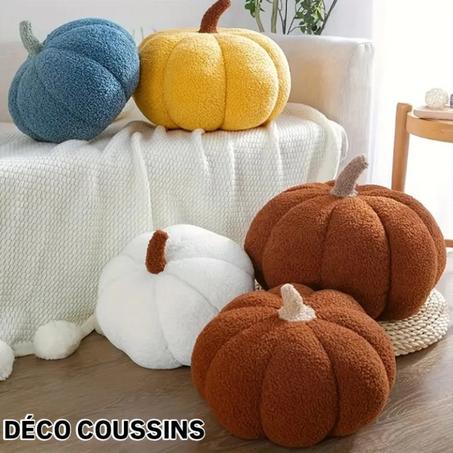 Coussin décoratif