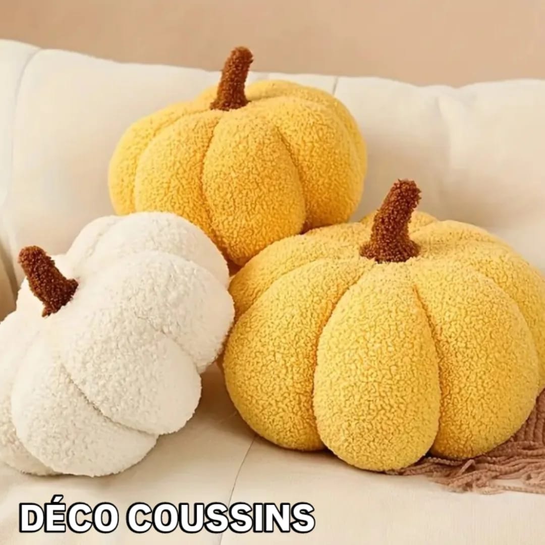 Coussin décoratif