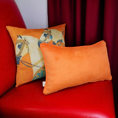 Coussin décoratif
