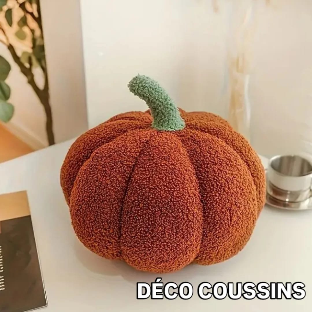 Coussin décoratif