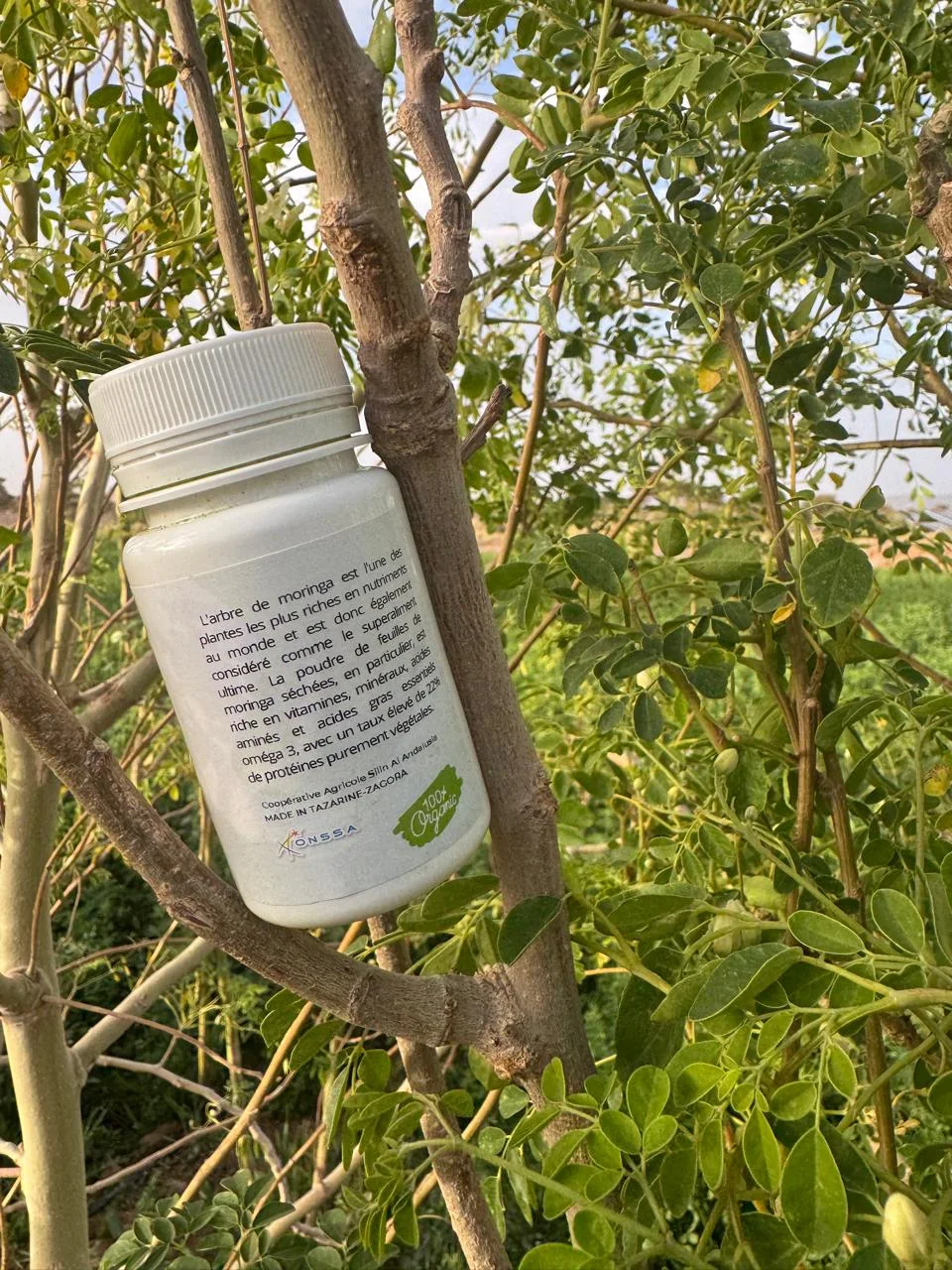 Premium BIO Moringa Powder (50g) | Pure & Organic - مسحوق مورينجا طبيعي ممتاز (50 جرام)