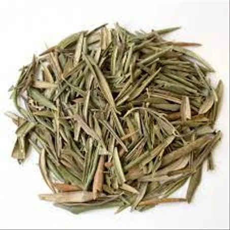 Feuilles d'olivier sèches أوراق الزيتون مجففة