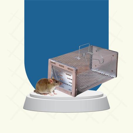مصيدة فئران أوتوماتيكية