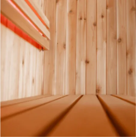 Bridgeport 6 Person Indoor Sauna