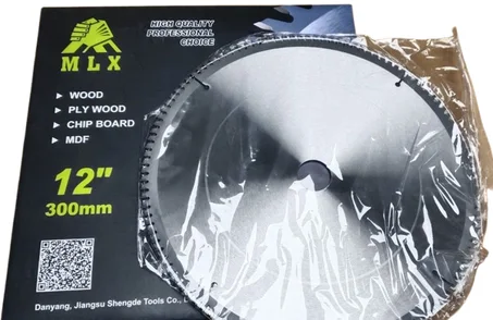 DISK   TRENSENEUSE  300mm