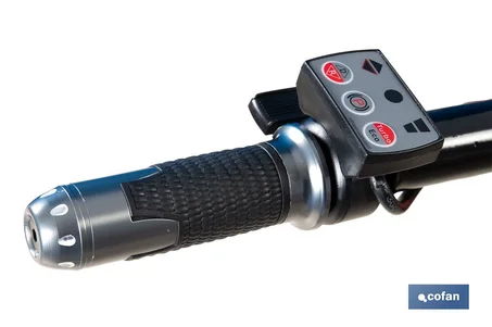 Carretilla de obra eléctrica a batería 20 V | Carga máxima de 260 kg | Motor de 500 W, batería Li-Ion 20 V 6.0 Ah