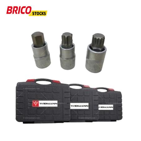 Juego de 3 cajas de puntas BTR TORX XZN Torx de 6 puntas Widmann de 12 puntas