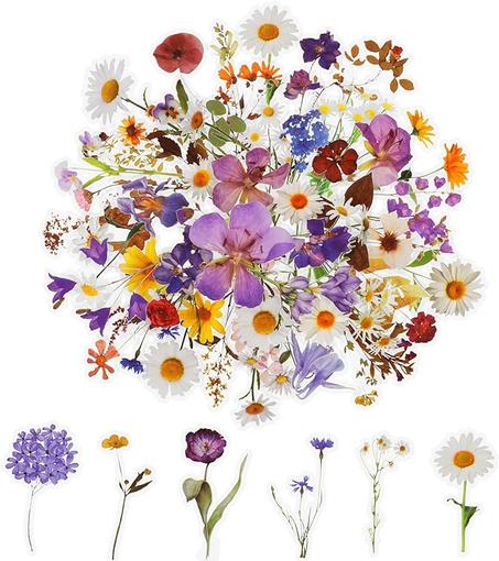 Transparent Flower Stickers