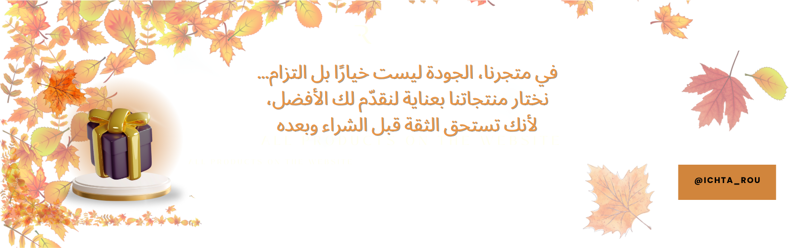 slider-image