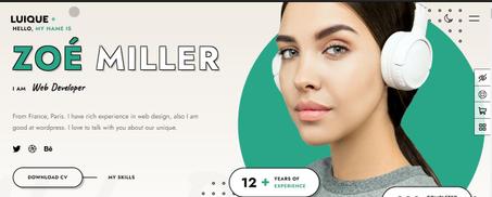 Luique - Versatile Personal Portfolio WordPress Theme - Standard Licenses