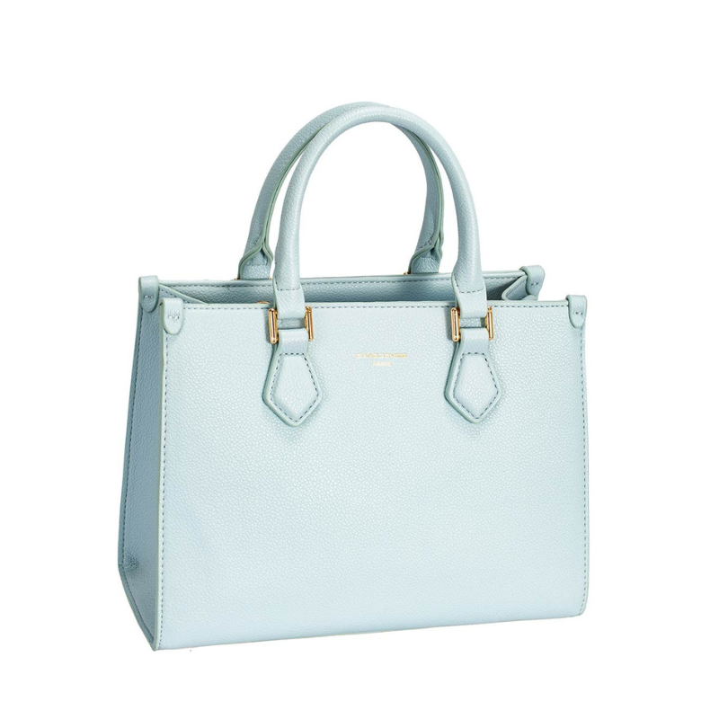 Sac de David jones paris