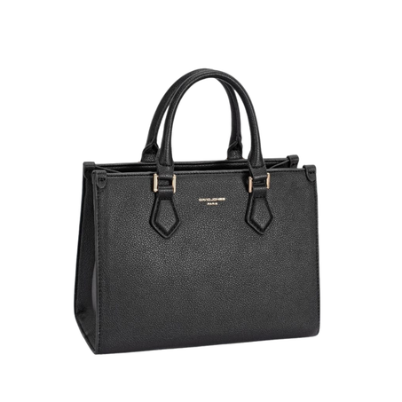 Sac de David jones paris