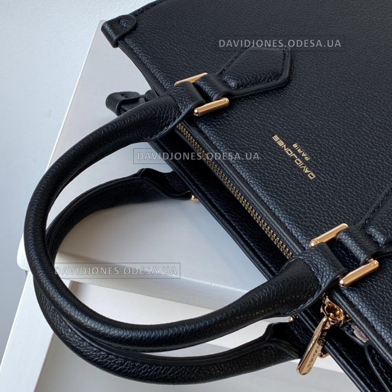 Sac de David jones paris