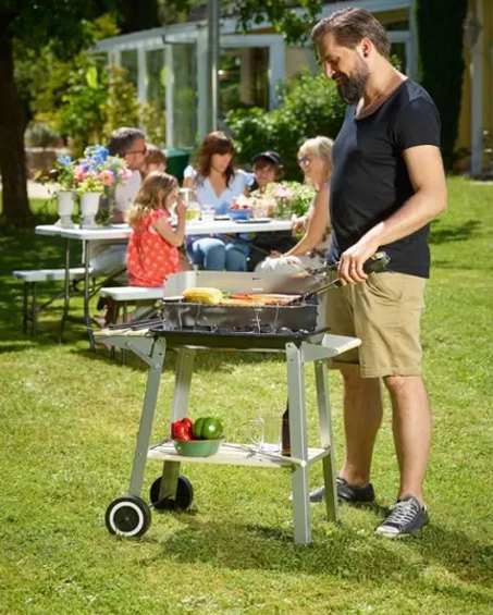 Deuba | Barbecue 55x35 cm • Grille réglable • avec Roues et poignée • transportable • métal et Bois | BBQ, grillades, Cuisson