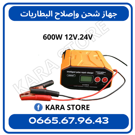 شاحن البطارية الذكي 600W 12V/24V