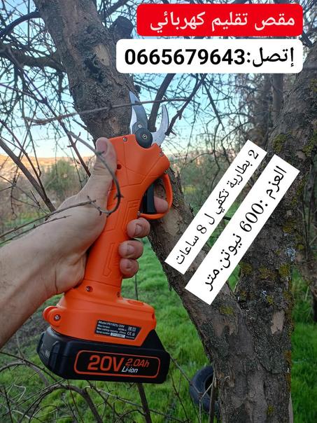 مقص تقليم كهربائي  Sécateur électrique
