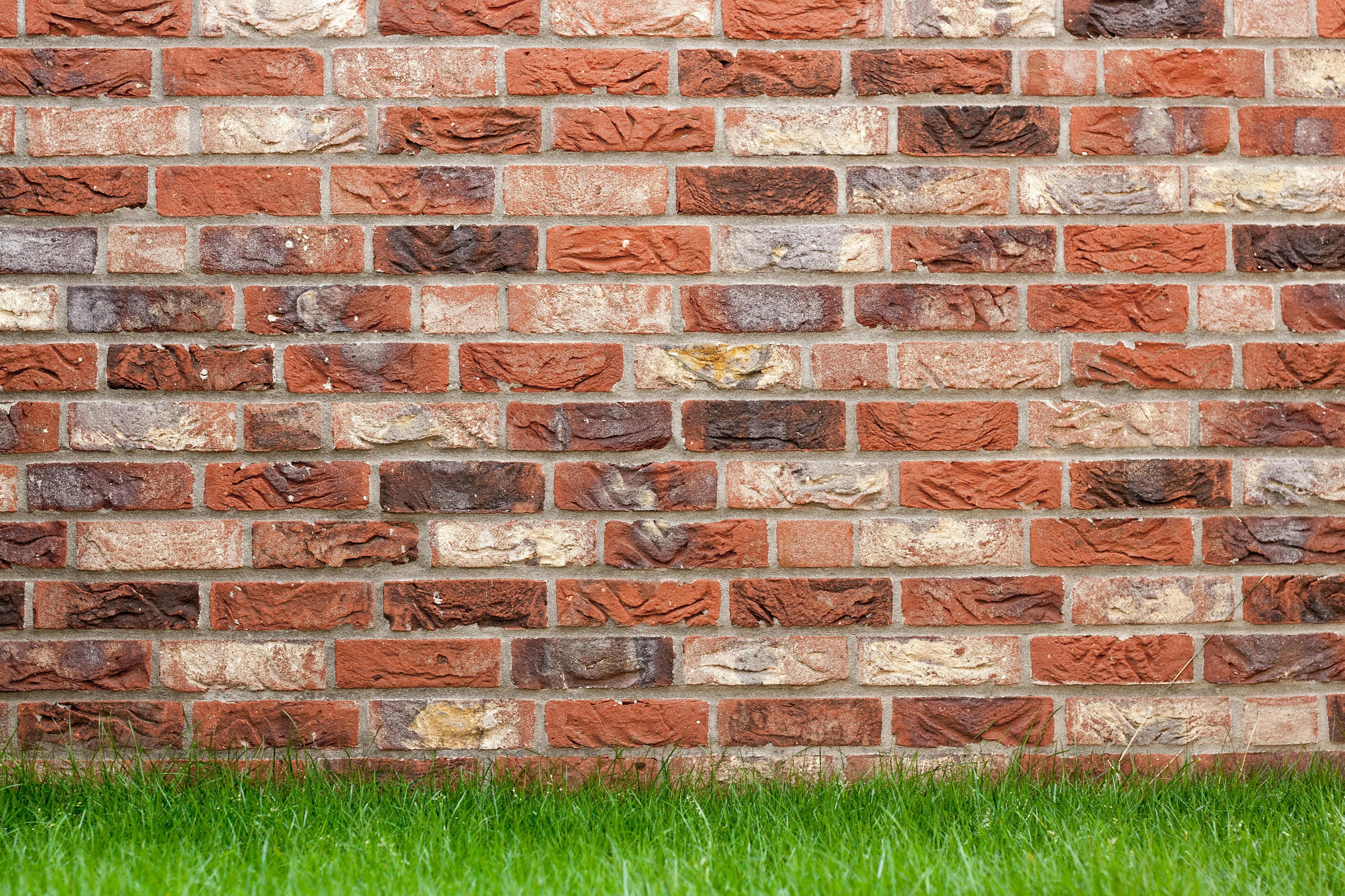 slider-image