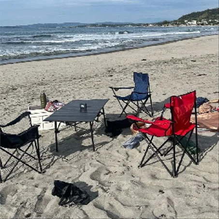 TO THE BEACH.