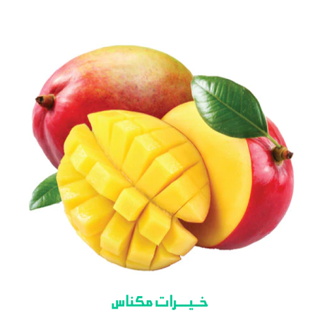 MANGUE - مانغو