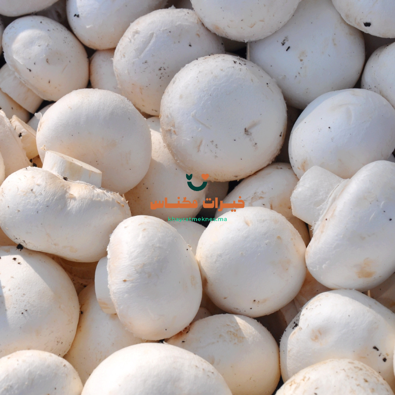 Champignon  فطر