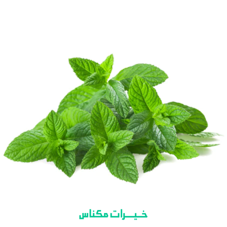 MENTHE - نعناع