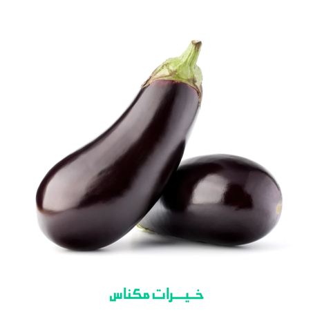 AUBERGINE - باذنجان