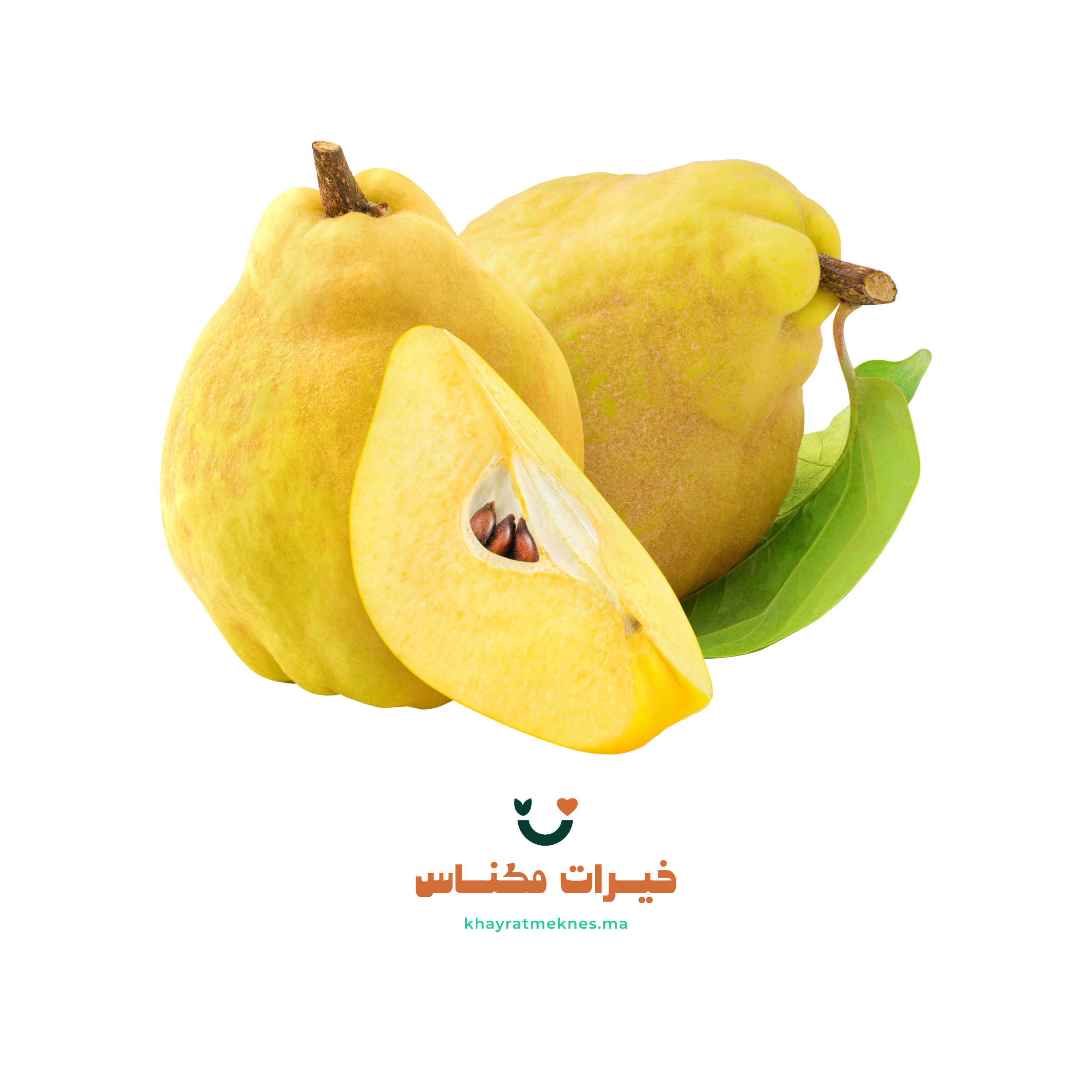 اسفرجل  _ Coing